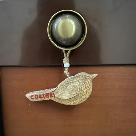Apartment Colibri *